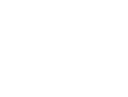 CONSTITUTION
