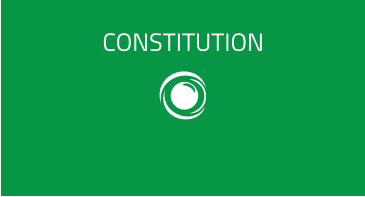 CONSTITUTION
