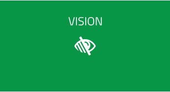 VISION